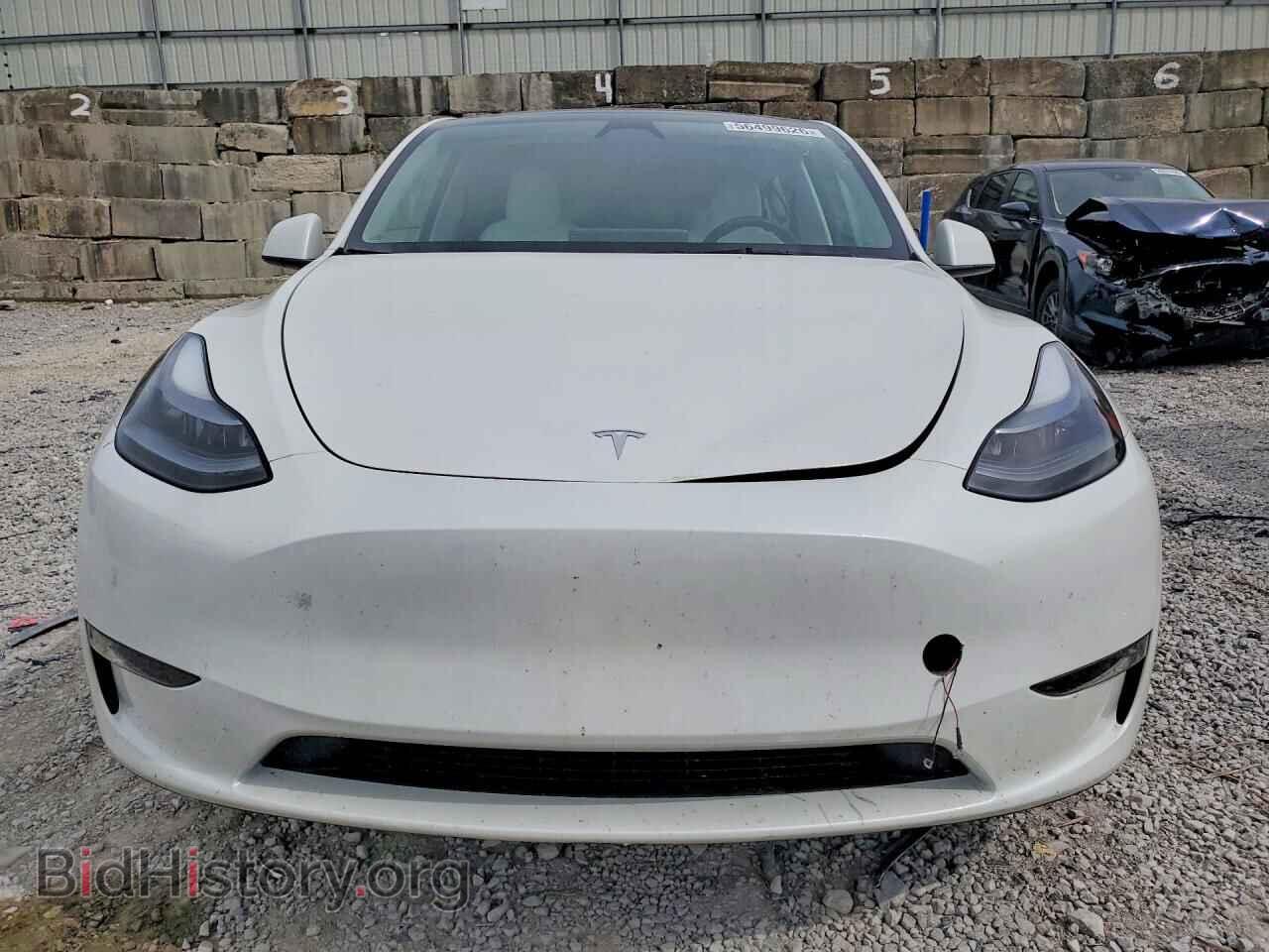 2024 TESLA MODEL Y - VIN: 7SAYGDEE1RF209324 - Photo 5