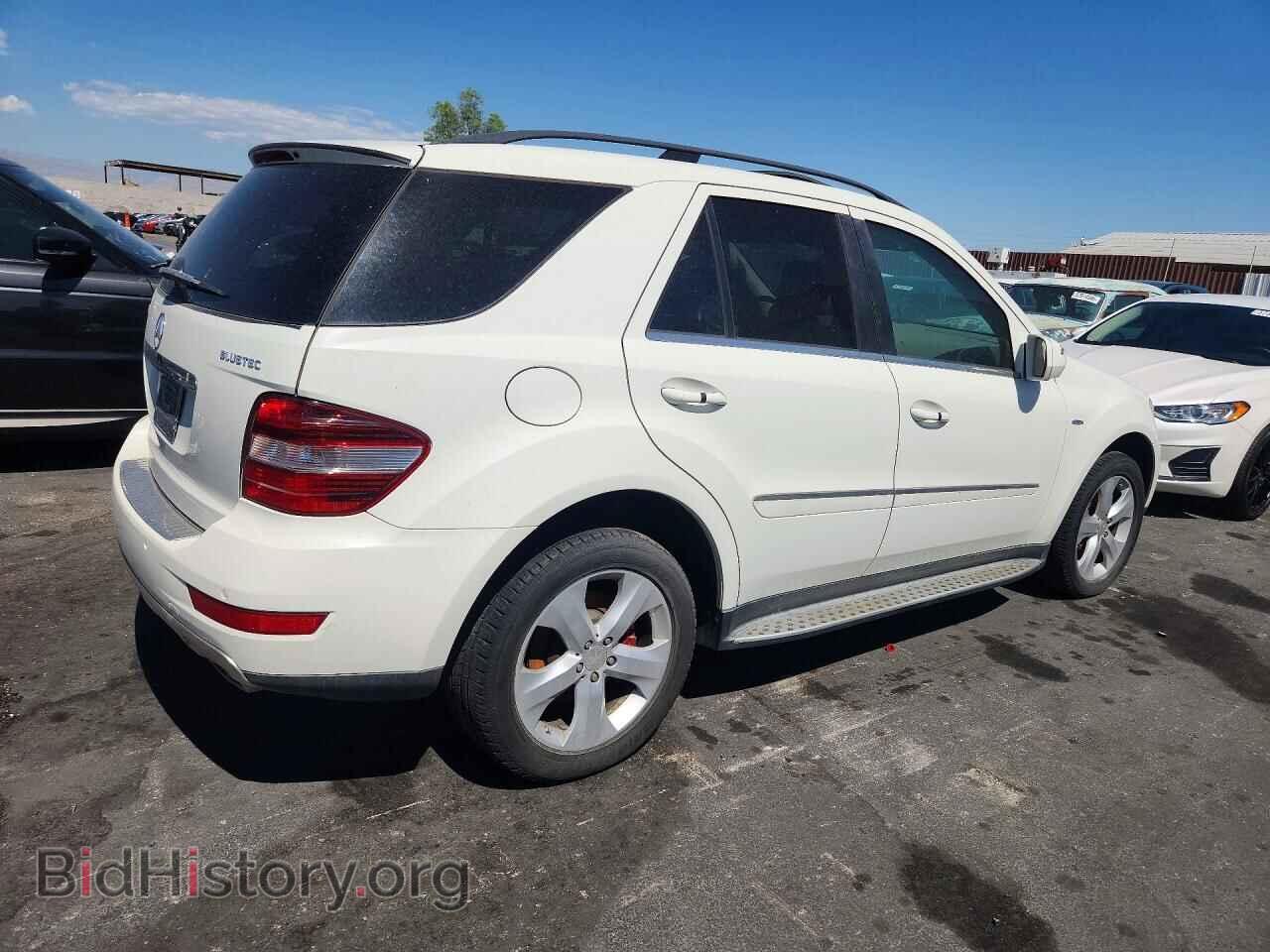 2010 MERCEDES-BENZ M-CLASS - VIN: 4JGBB2FB5AA535310 - Фото 3
