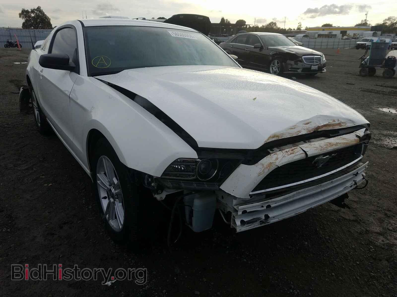 Photo 1ZVBP8AM3D5259513 - FORD MUSTANG 2013