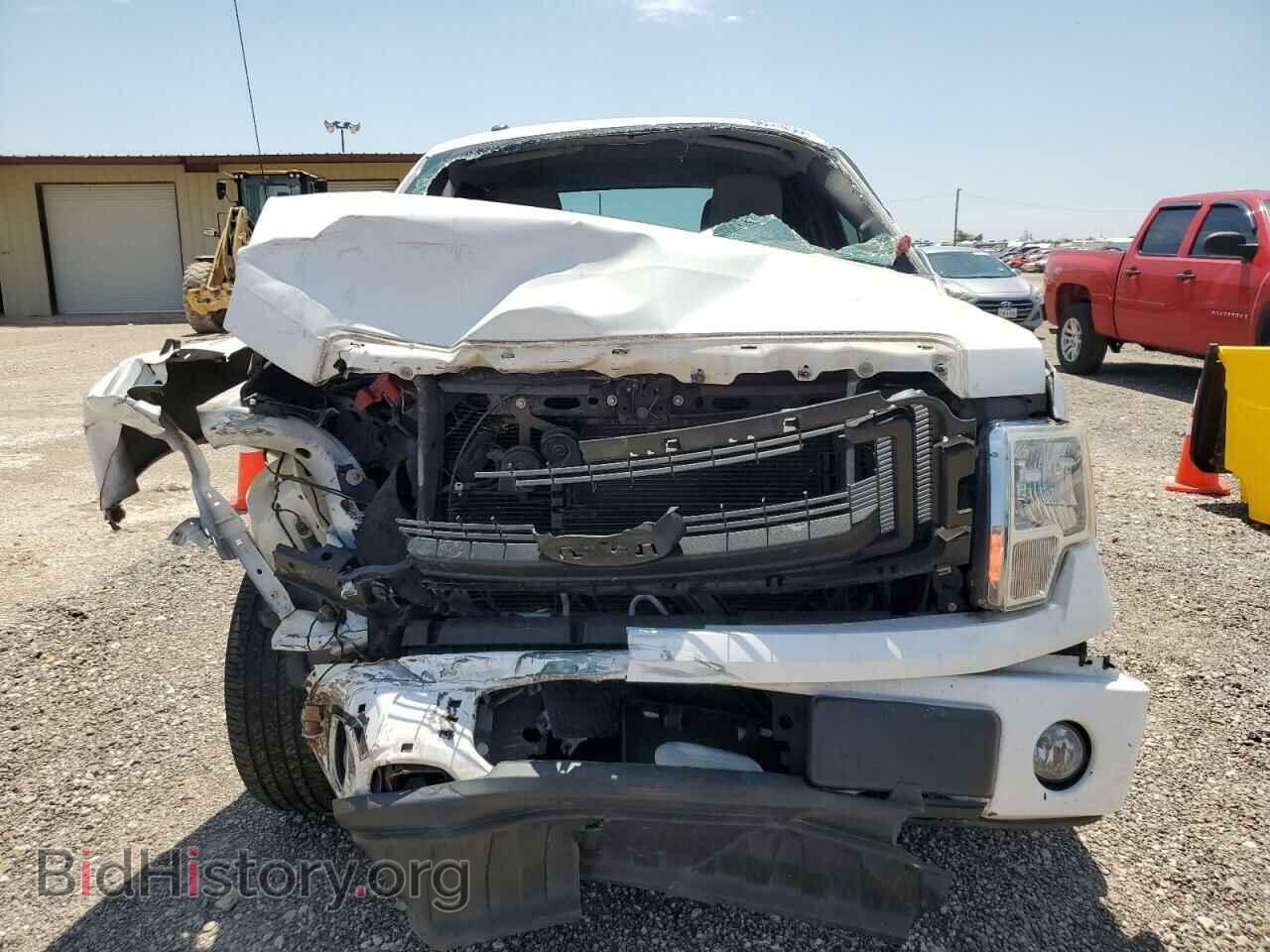 2013 FORD F-150 - VIN: 1FTFX1CF9DFA52600 - Фото 5
