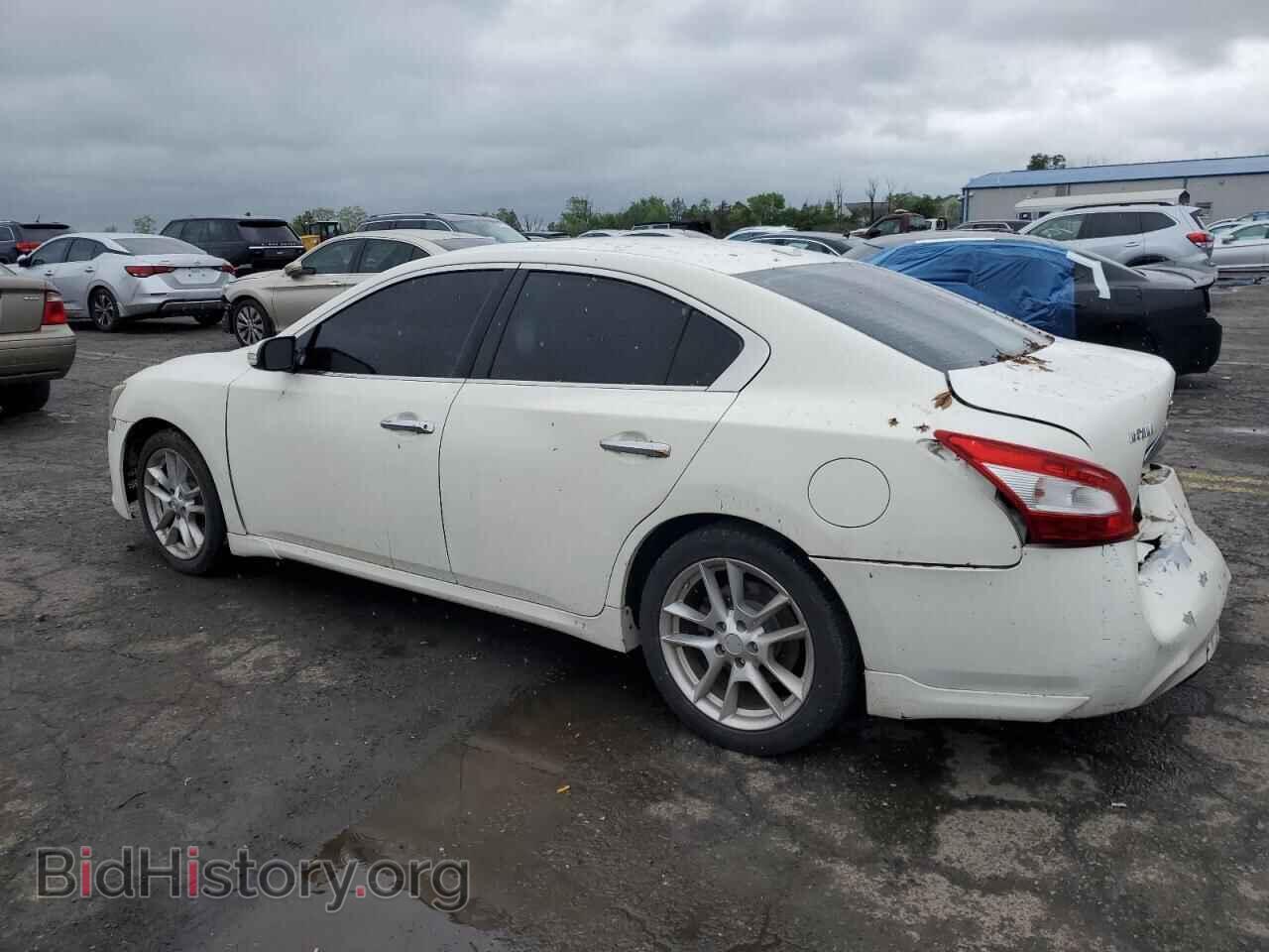 2011 NISSAN MAXIMA - VIN: 1N4AA5AP4BC856497 - Фото 2