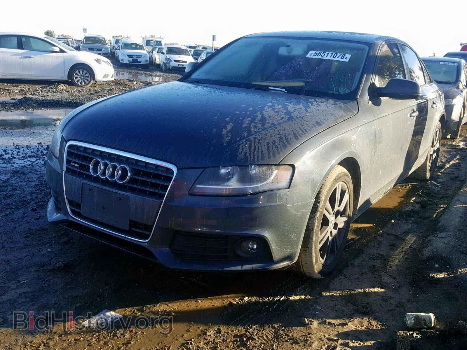 2011 AUDI A4 - VIN: WAUBFAFL5BA066150 - Фото 2