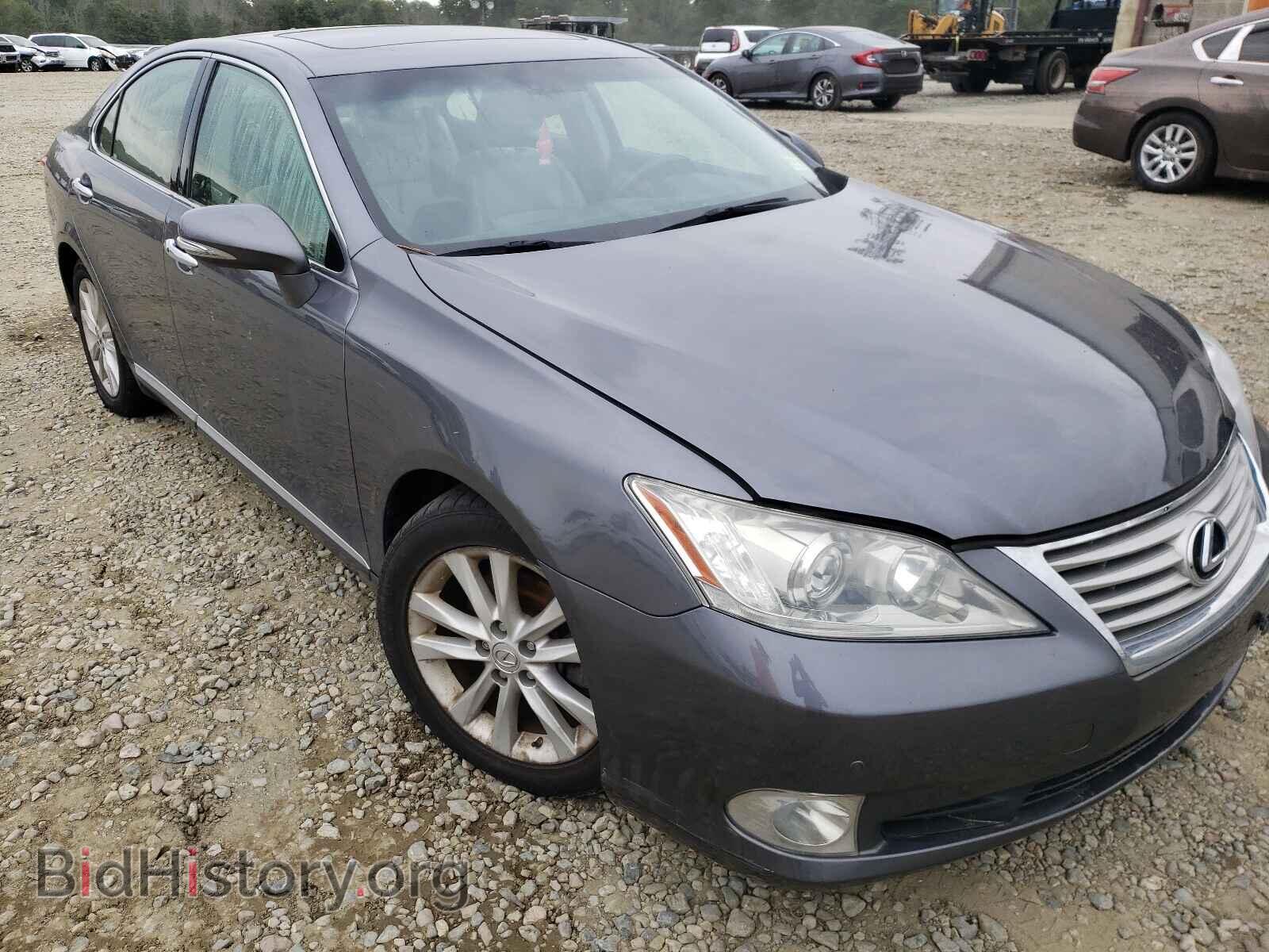Фотография JTHBK1EGXC2481493 - LEXUS ES350 2012
