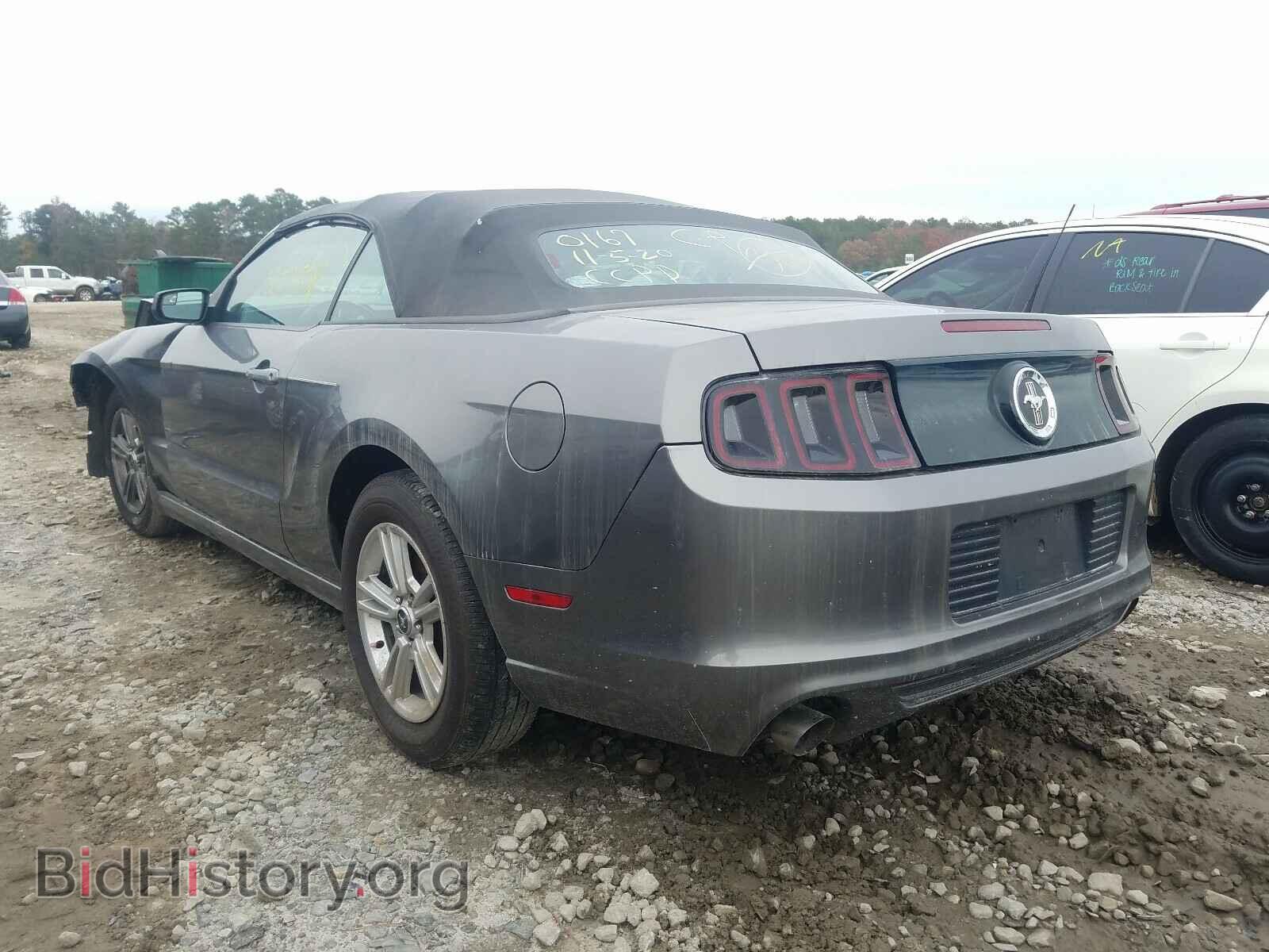 2013 FORD MUSTANG - VIN: 1ZVBP8EM1D5260167 - Фото 3
