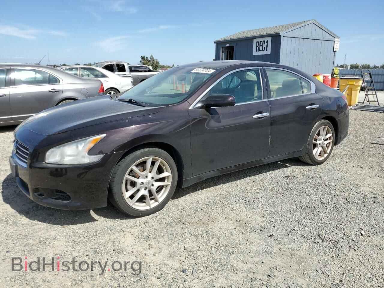 Фотография 1N4AA5AP1BC802817 - NISSAN MAXIMA 2011
