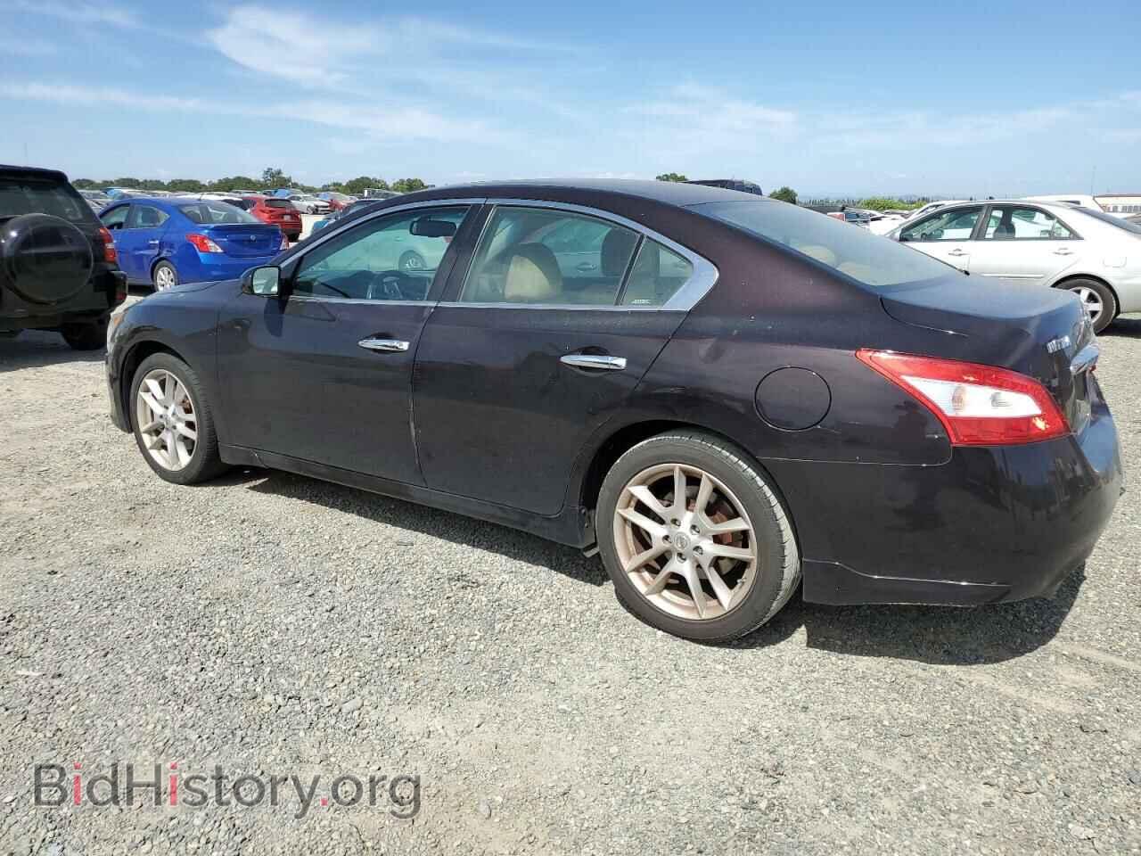 2011 NISSAN MAXIMA - VIN: 1N4AA5AP1BC802817 - Фото 2