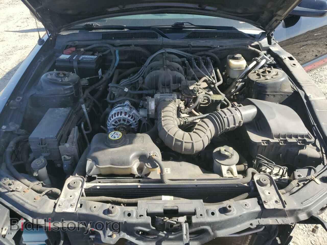 2008 FORD ALL Models - VIN: 1ZVHT84N385113015 - Фото 11