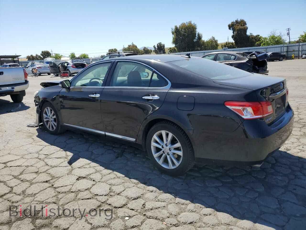 2010 LEXUS ES350 - VIN: JTHBK1EG9A2388722 - Фото 2