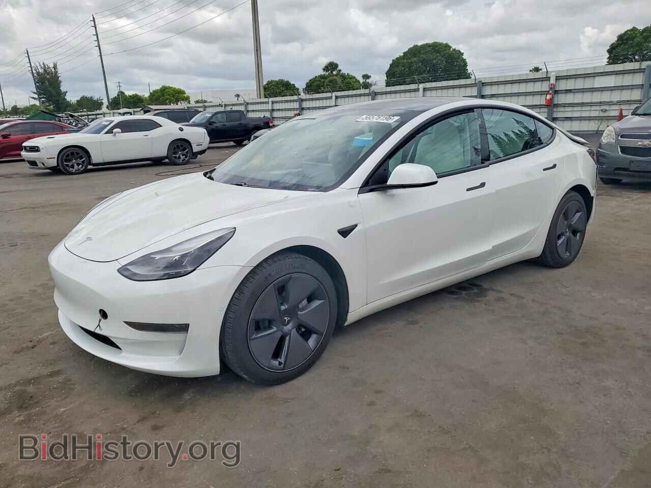 Photo 5YJ3E1EA7MF973146 - TESLA MODEL 3 2021