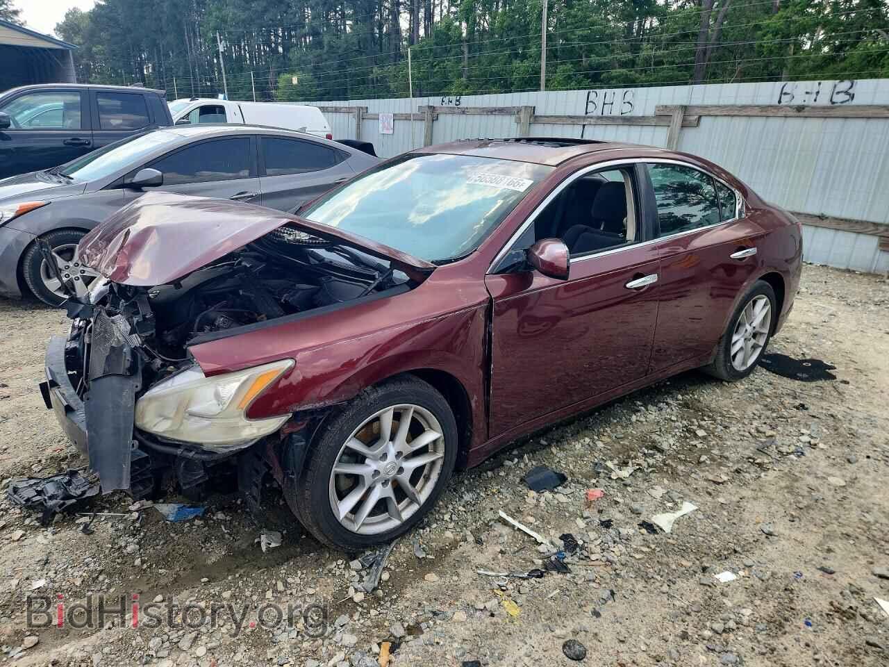 Фотография 1N4AA5AP2AC833847 - NISSAN MAXIMA 2010
