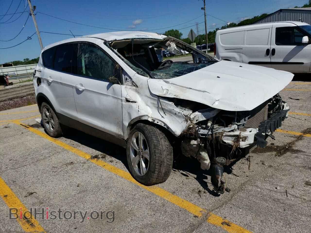 2014 FORD ESCAPE - VIN: 1FMCU0GX3EUD32756 - Фото 4