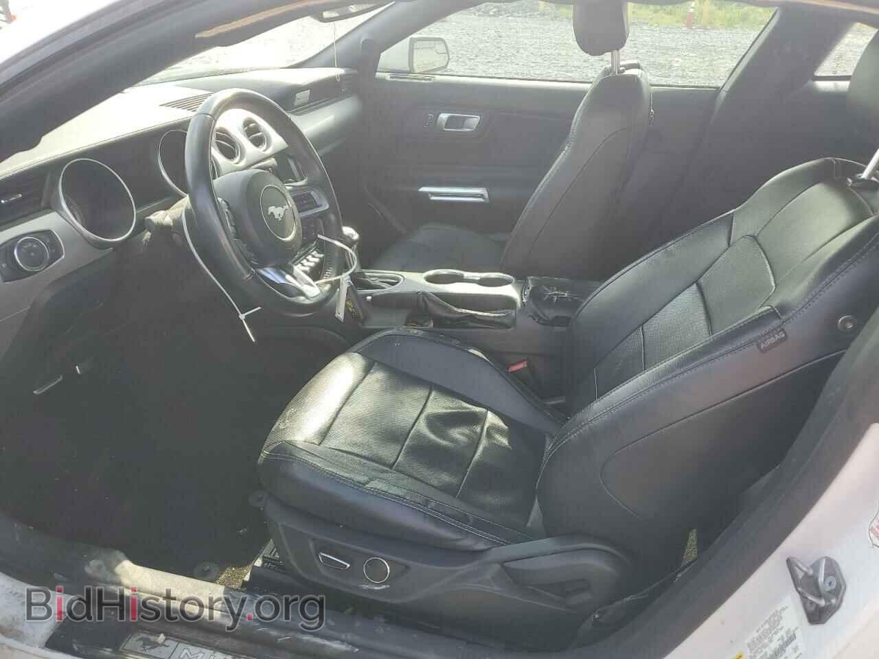 2019 FORD ALL Models - VIN: 1FA6P8TH0K5162129 - Фото 7