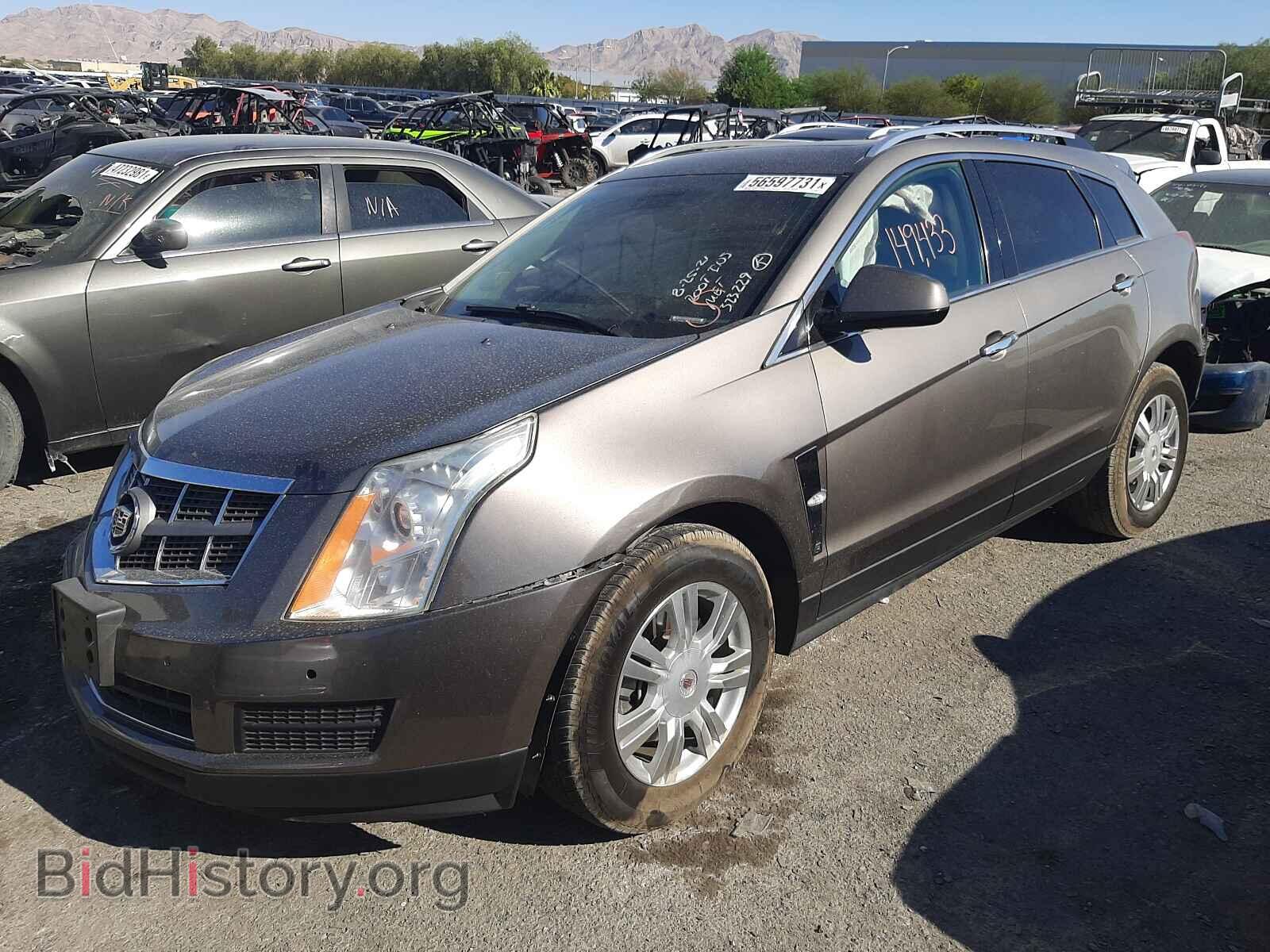2011 CADILLAC SRX - VIN: 3GYFNDEY9BS655071 - Фото 2