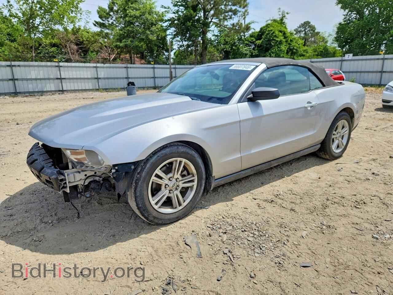 Фотография 1ZVBP8EM5C5257030 - FORD MUSTANG 2012