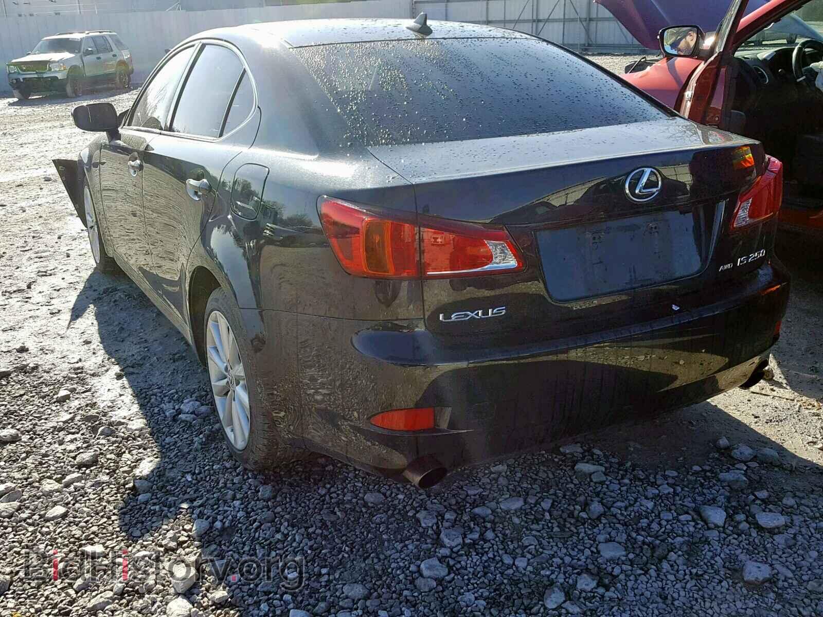 2010 LEXUS IS 250 - VIN: JTHCF5C28A2032611 - Фото 3