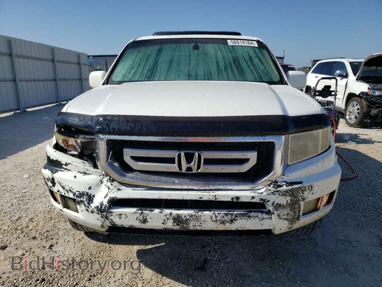 2011 HONDA RIDGELINE - VIN: 5FPYK1F54BB006949 - Фото 5