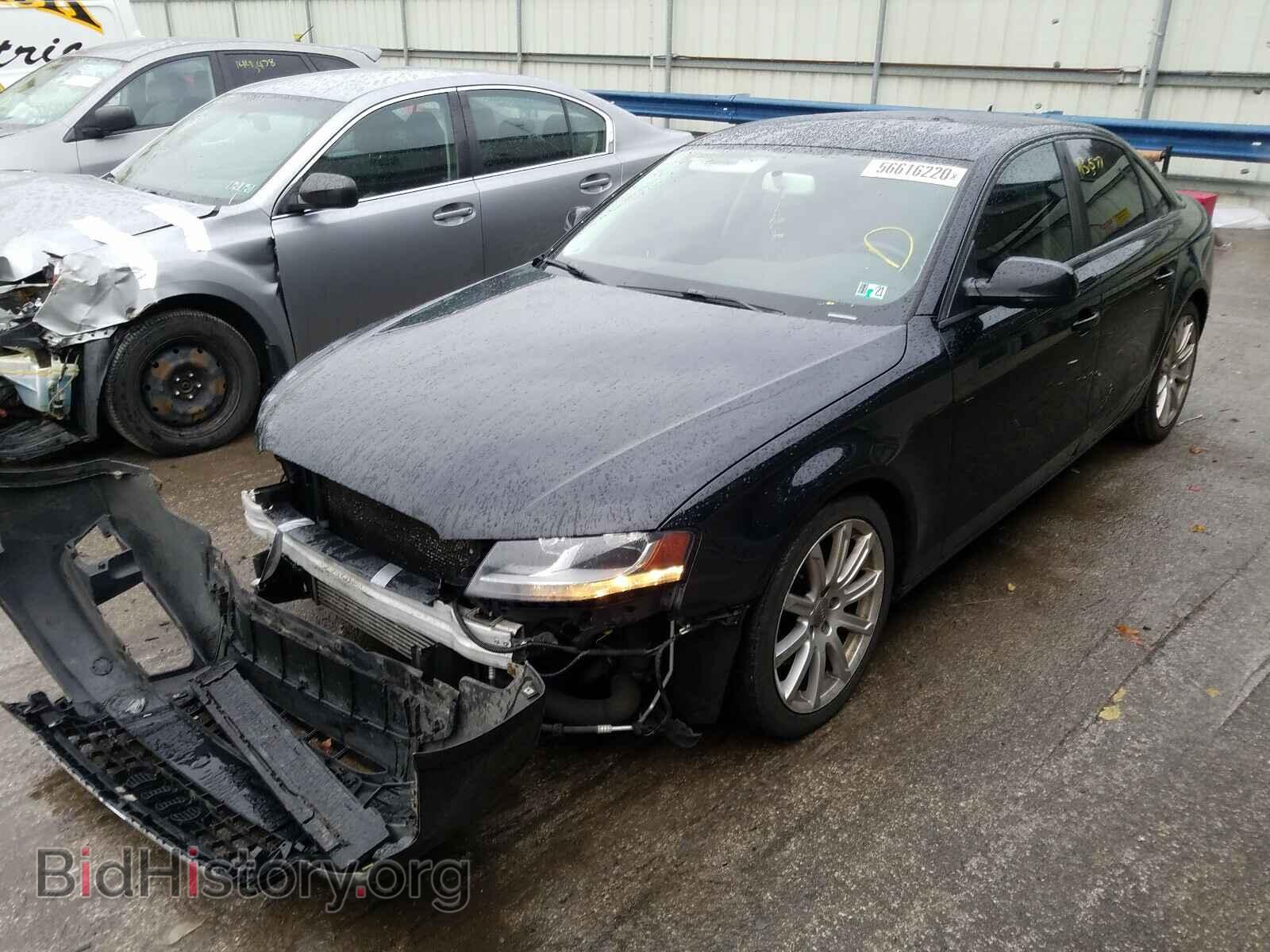 2010 AUDI A4 - VIN: WAUDFAFL1AN005152 - Фото 2