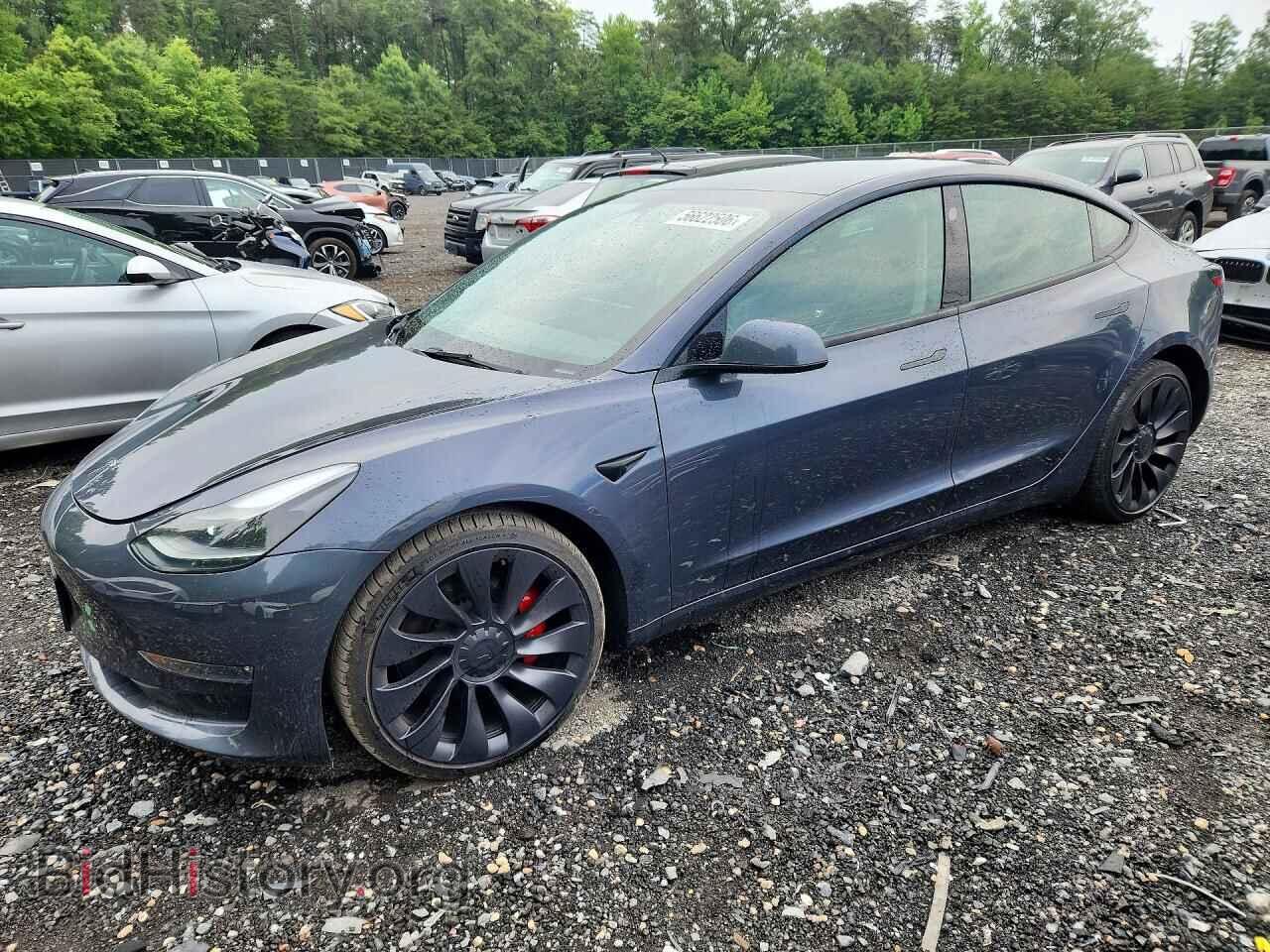 Photo 5YJ3E1EC0PF418416 - TESLA MODEL 3 2023