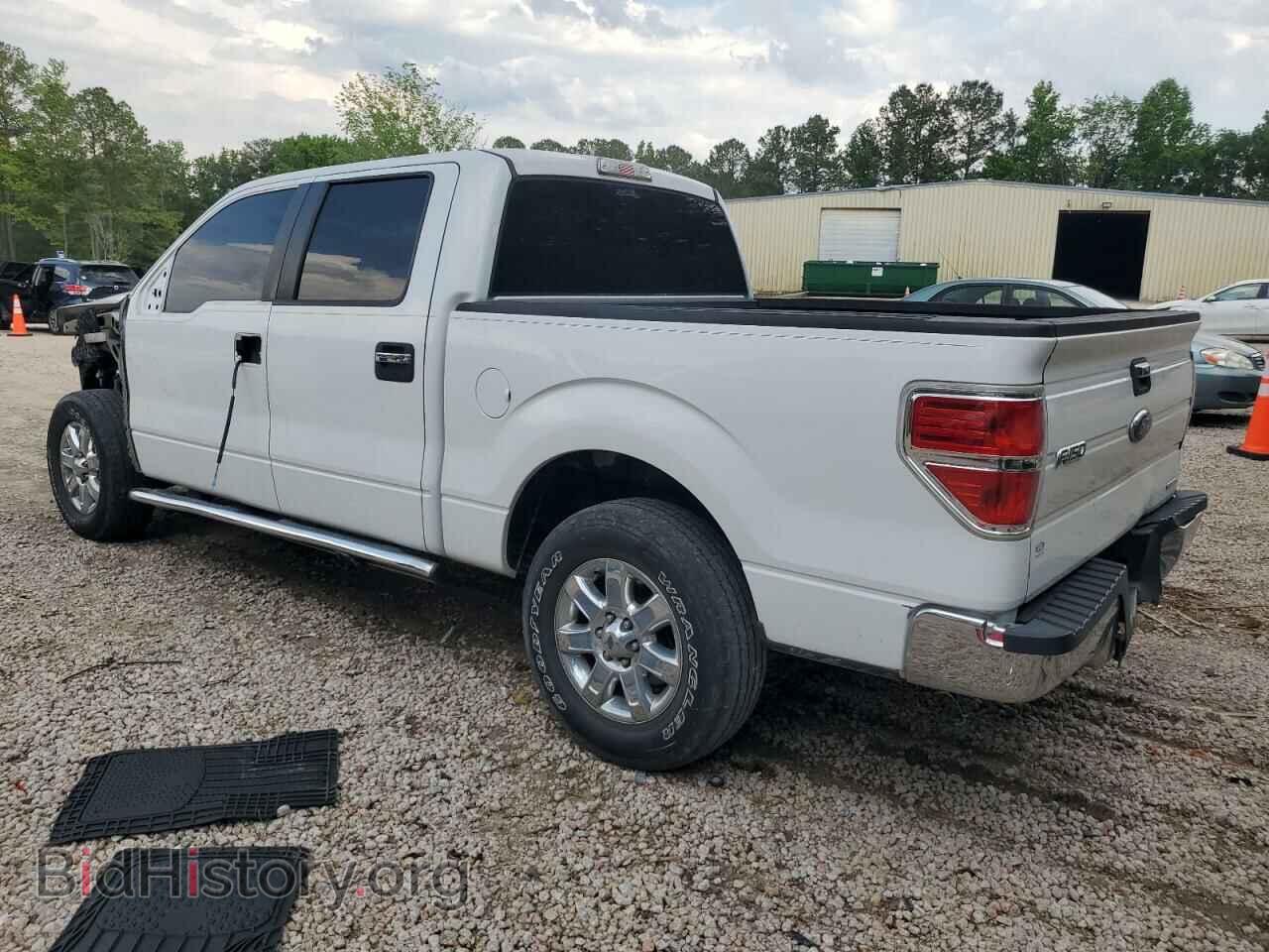 2013 FORD F-150 - VIN: 1FTEW1CM9DFD44745 - Фото 2