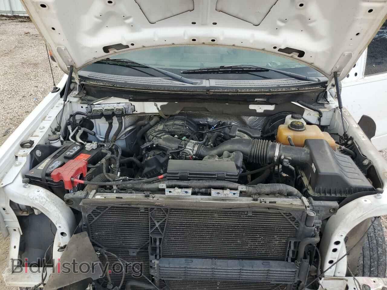 2013 FORD F-150 - VIN: 1FTEW1CM9DFD44745 - Фото 11