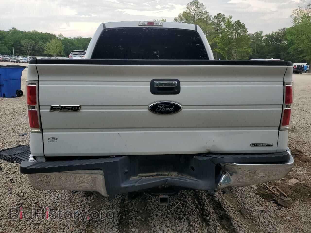 2013 FORD F-150 - VIN: 1FTEW1CM9DFD44745 - Фото 6