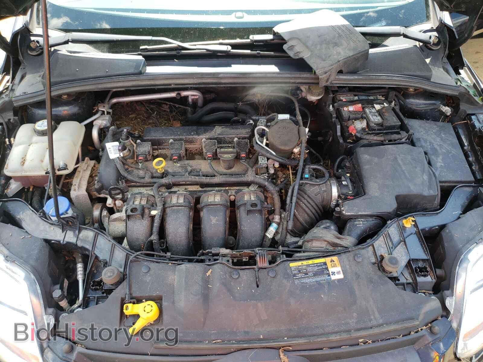 2013 FORD FOCUS - VIN: 1FADP3K22DL294024 - Фото 7