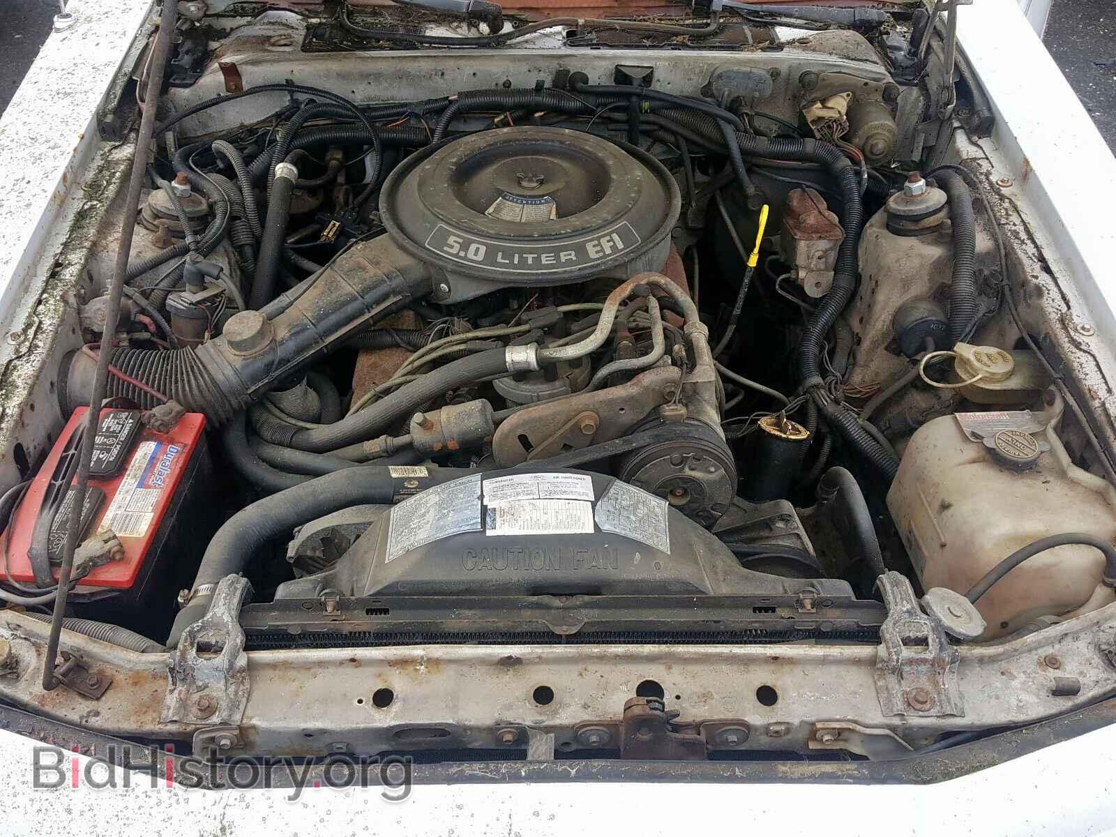 1984 FORD TBIRD - VIN: 1FABP46F7EA145244 - Фото 7