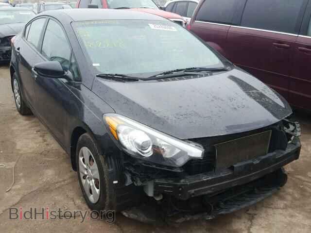 Фотография KNAFK4A64E5188818 - KIA FORTE 2014