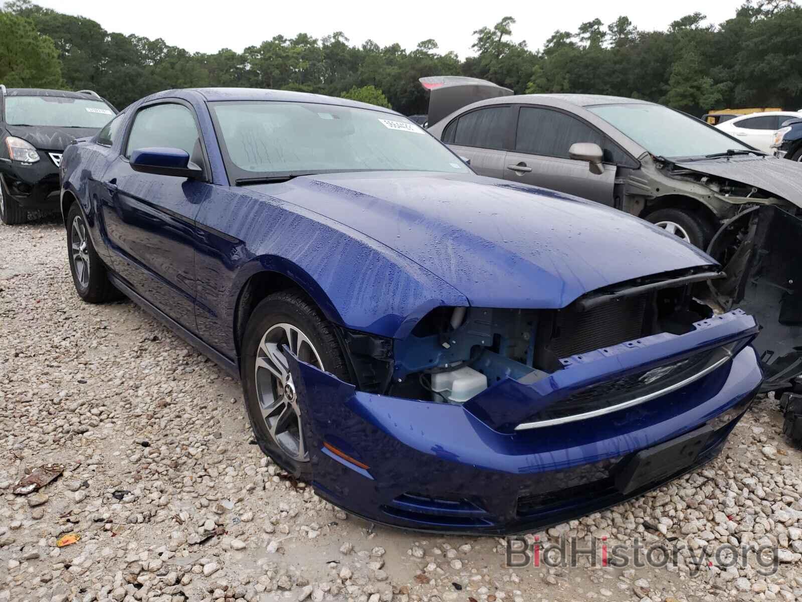 Photo 1ZVBP8AM0E5249944 - FORD MUSTANG 2014