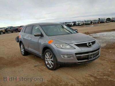 2009 Mazda CX-9, gray — VIN JM3TB28A290165374, Copart