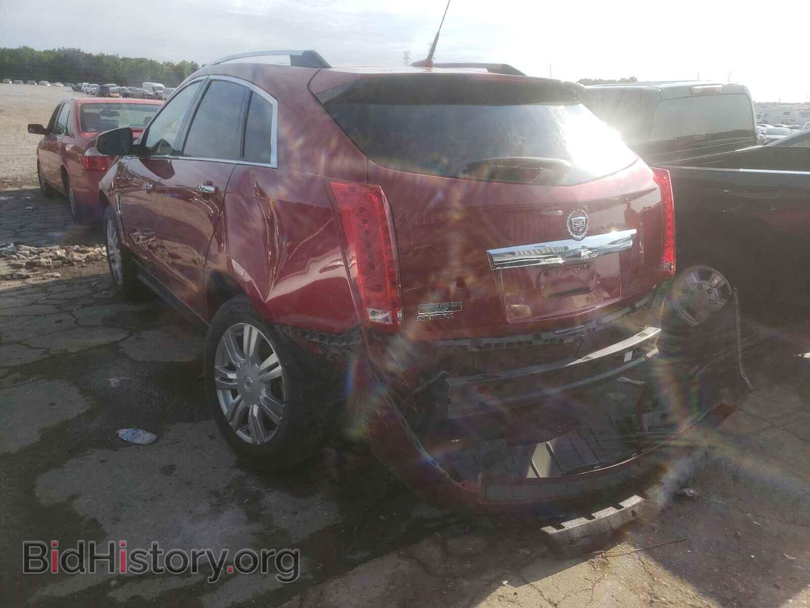2011 CADILLAC SRX - VIN: 3GYFNAEY9BS558578 - Фото 3