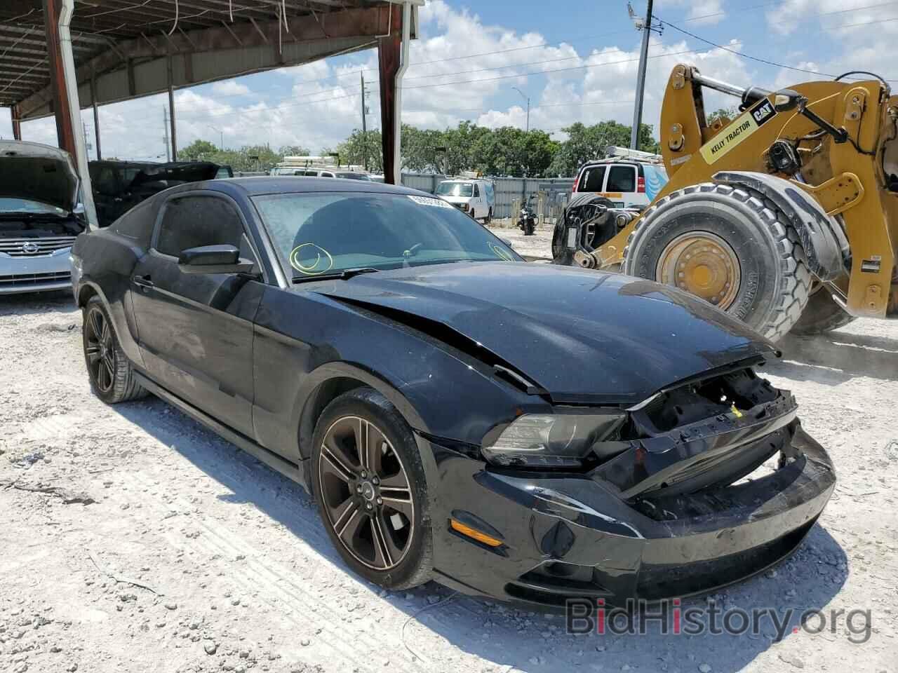 Photo 1ZVBP8AM4E5269257 - FORD MUSTANG 2014