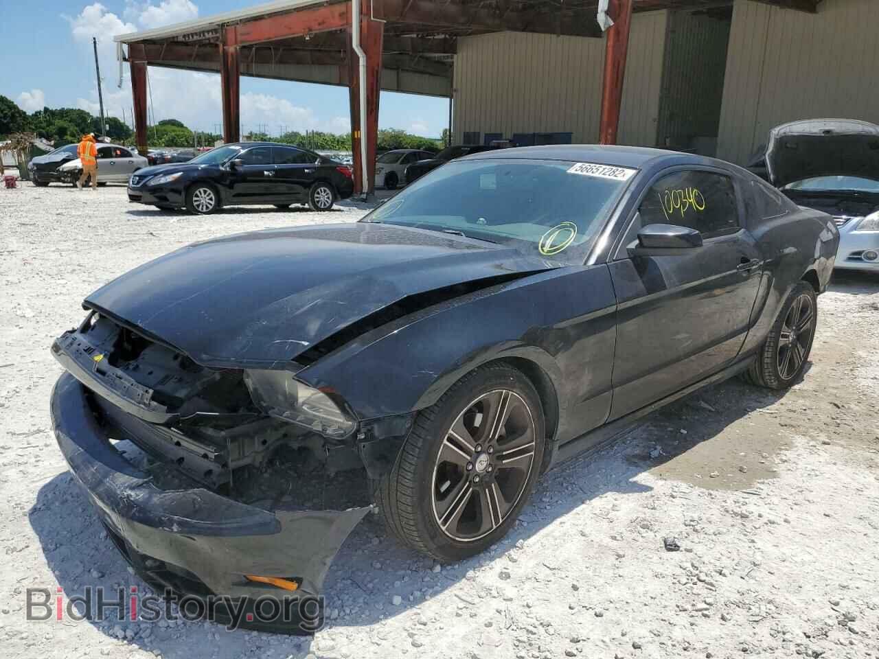 2014 FORD MUSTANG - VIN: 1ZVBP8AM4E5269257 - Фото 2