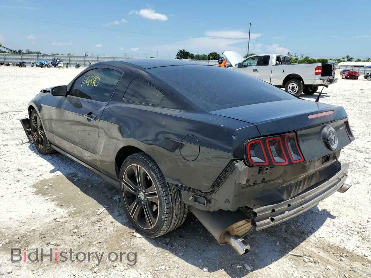 2014 FORD MUSTANG - VIN: 1ZVBP8AM4E5269257 - Фото 3