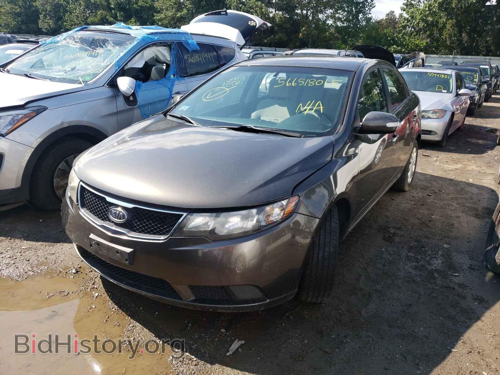 2010 KIA FORTE - VIN: KNAFU4A26A5046620 - Фото 2
