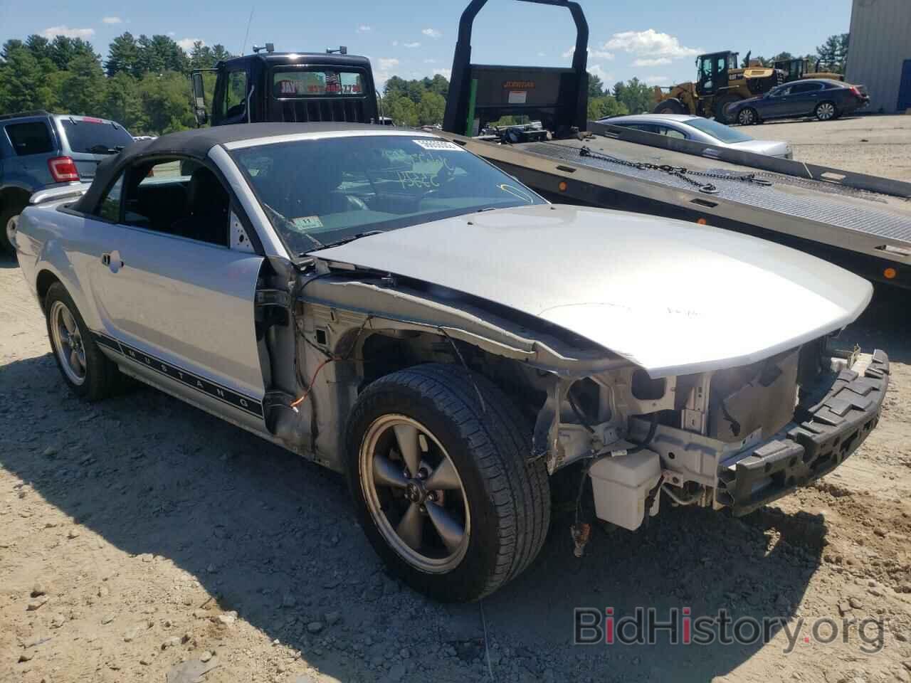Photo 1ZVHT84N965197368 - FORD MUSTANG 2006