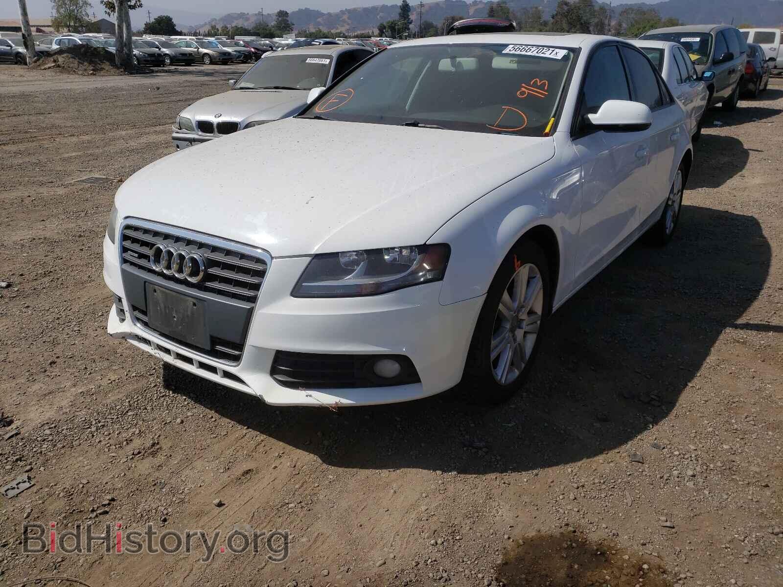 2011 AUDI A4 - VIN: WAUBFAFL7BN041078 - Фото 2