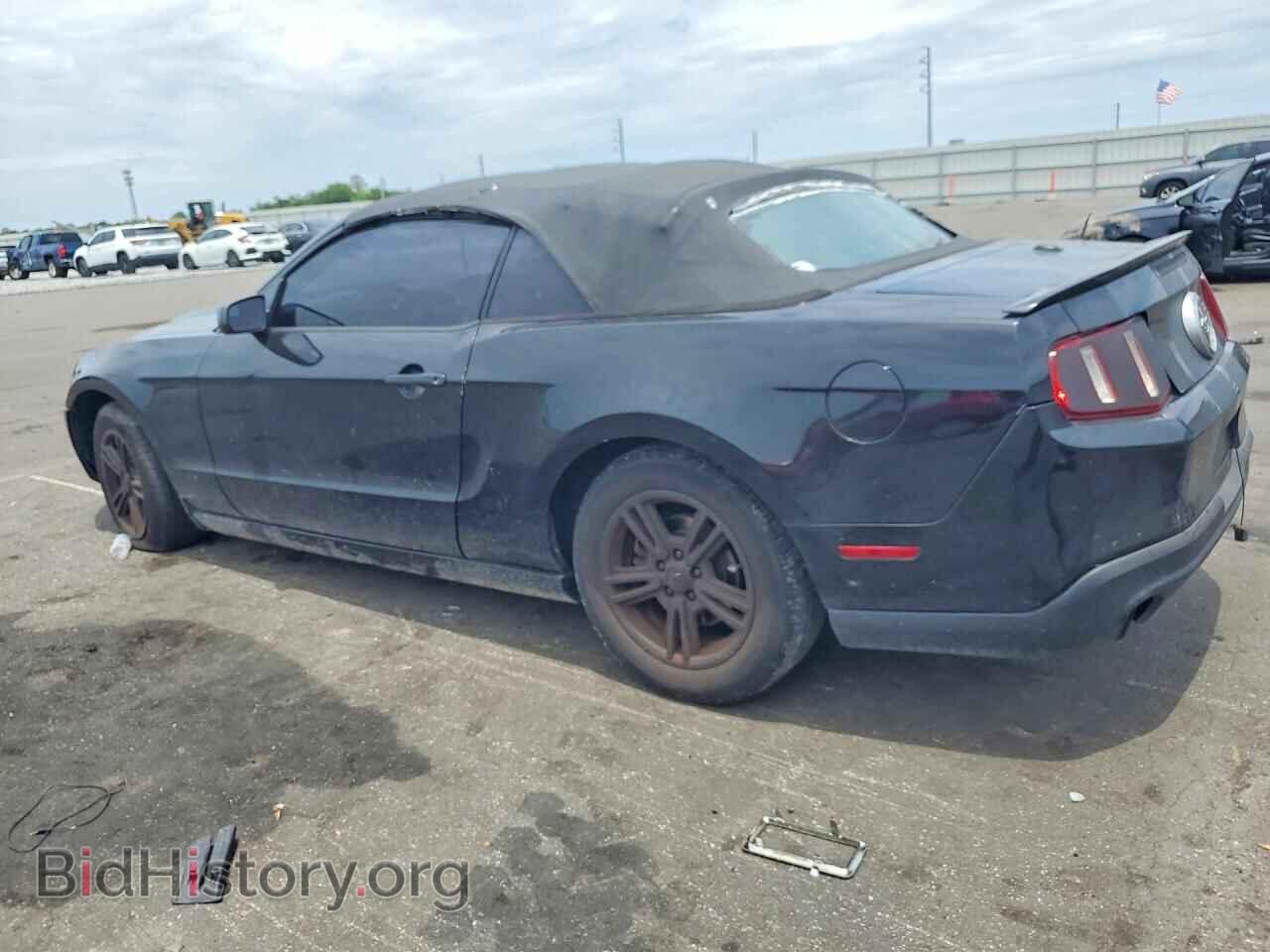 2011 FORD MUSTANG - VIN: 1ZVBP8EM5B5108907 - Фото 2