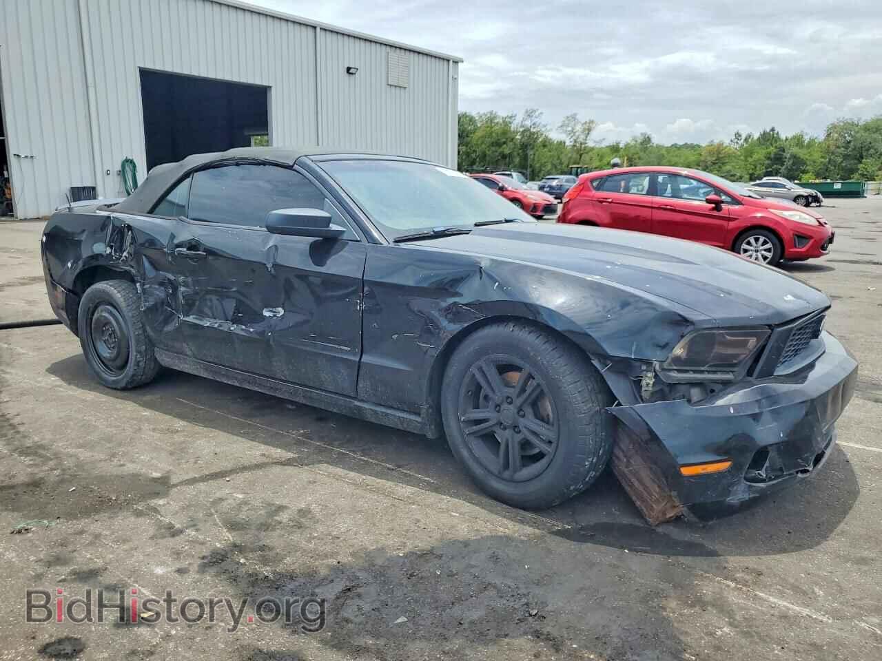 2011 FORD MUSTANG - VIN: 1ZVBP8EM5B5108907 - Фото 4