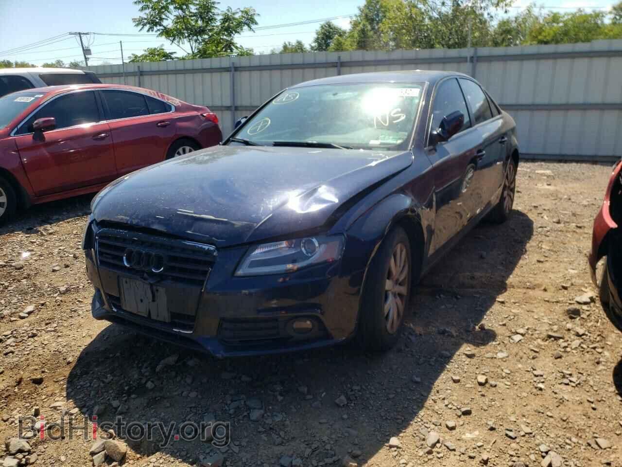 2010 AUDI A4 - VIN: WAUBFAFL8AN059037 - Фото 2