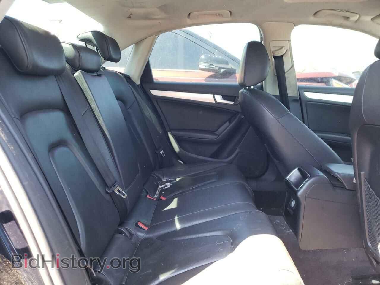 2010 AUDI A4 - VIN: WAUBFAFL8AN059037 - Фото 6