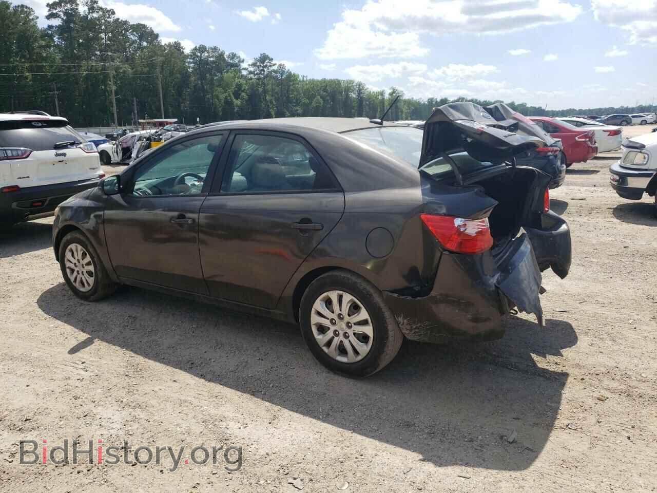 2011 KIA FORTE - VIN: KNAFU4A21B5444285 - Фото 2