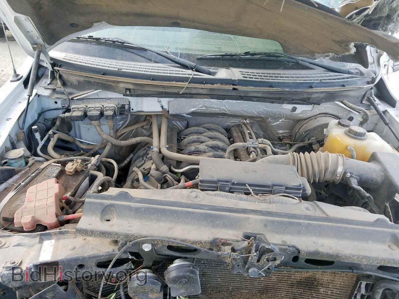 2013 FORD F150 - VIN: 1FTNF1CF2DKF81599 - Фото 7