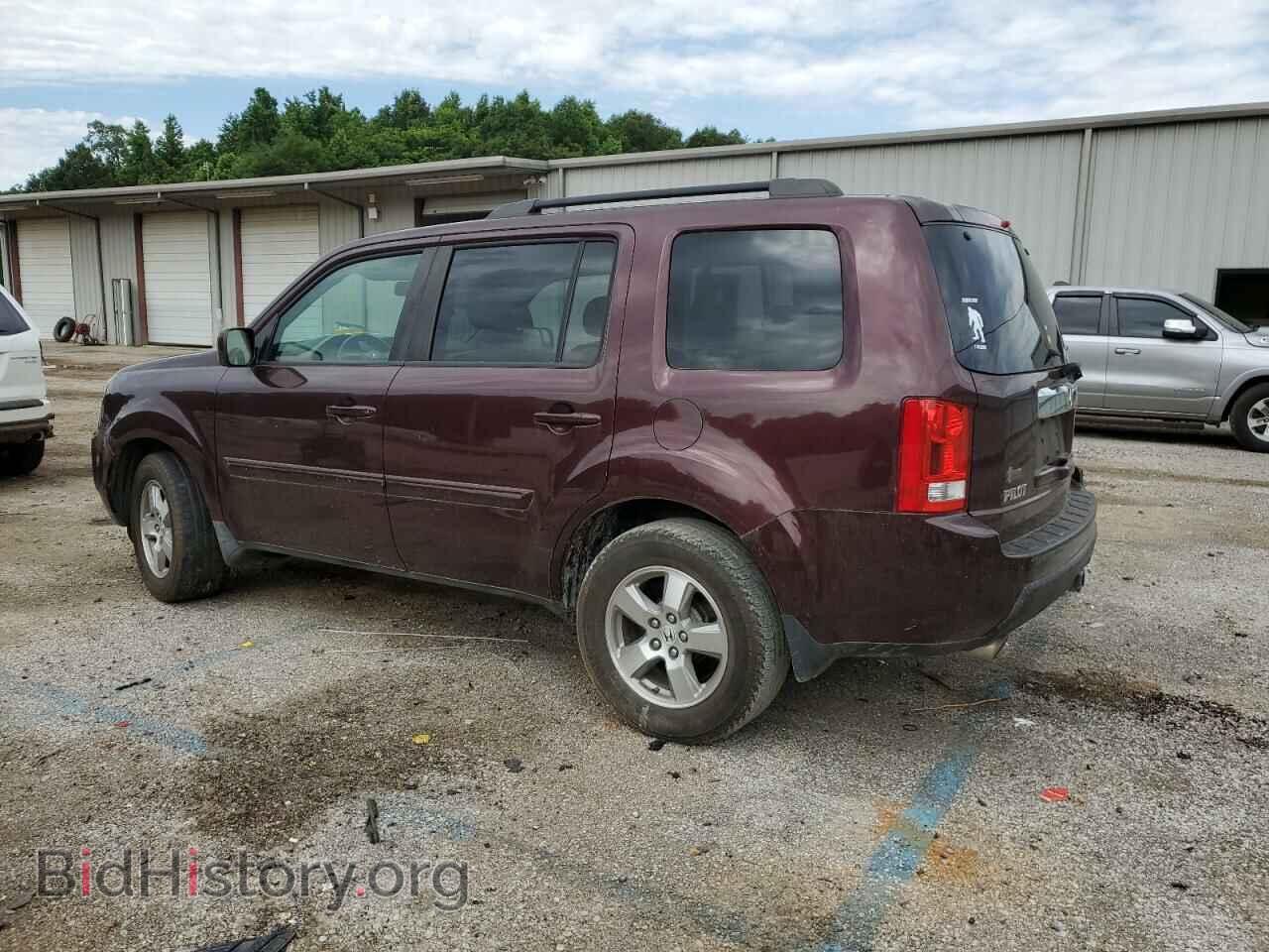 2009 HONDA PILOT - VIN: 5FNYF38599B020510 - Фото 2