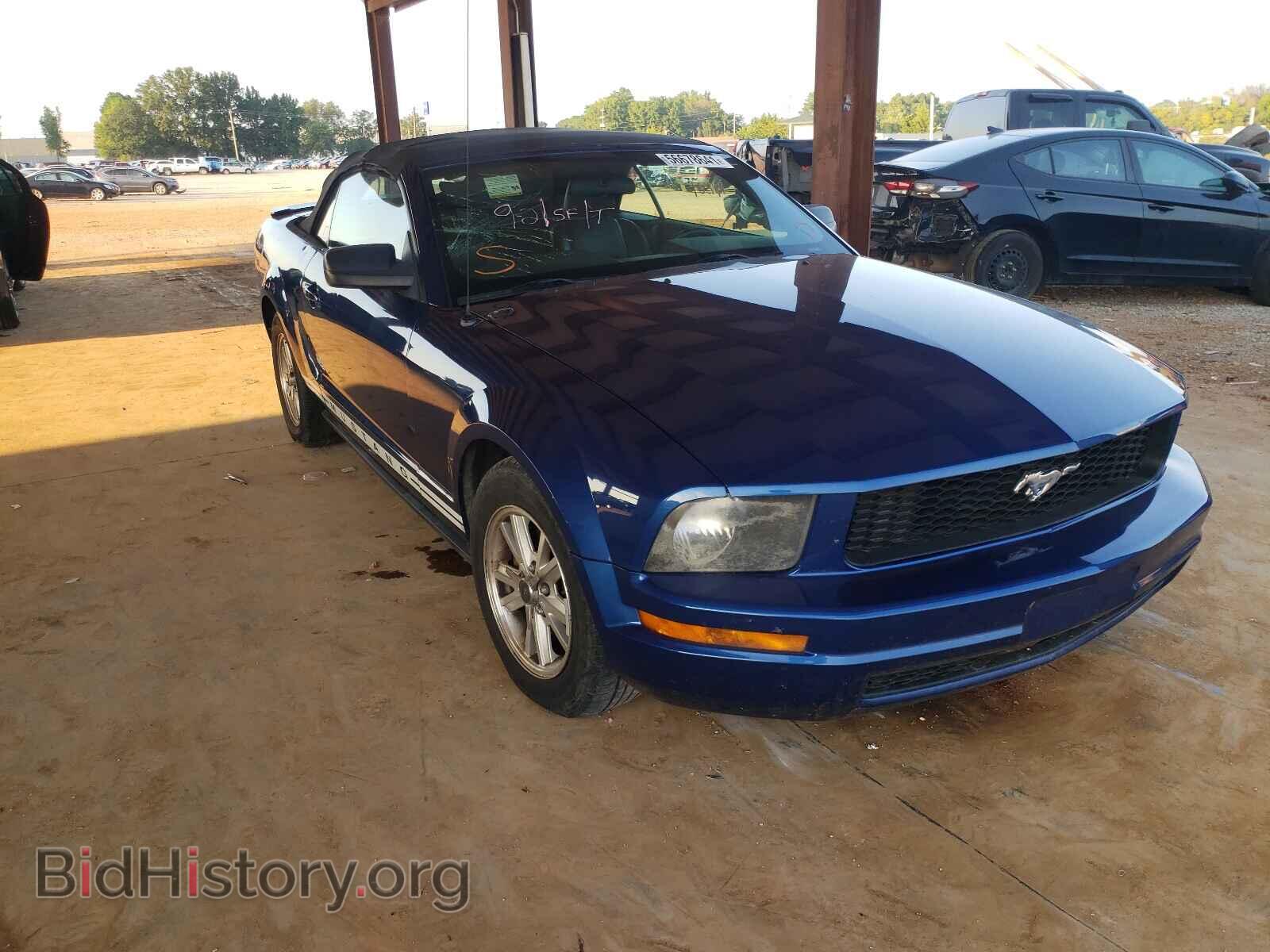 Фотография 1ZVHT84N875365518 - FORD MUSTANG 2007