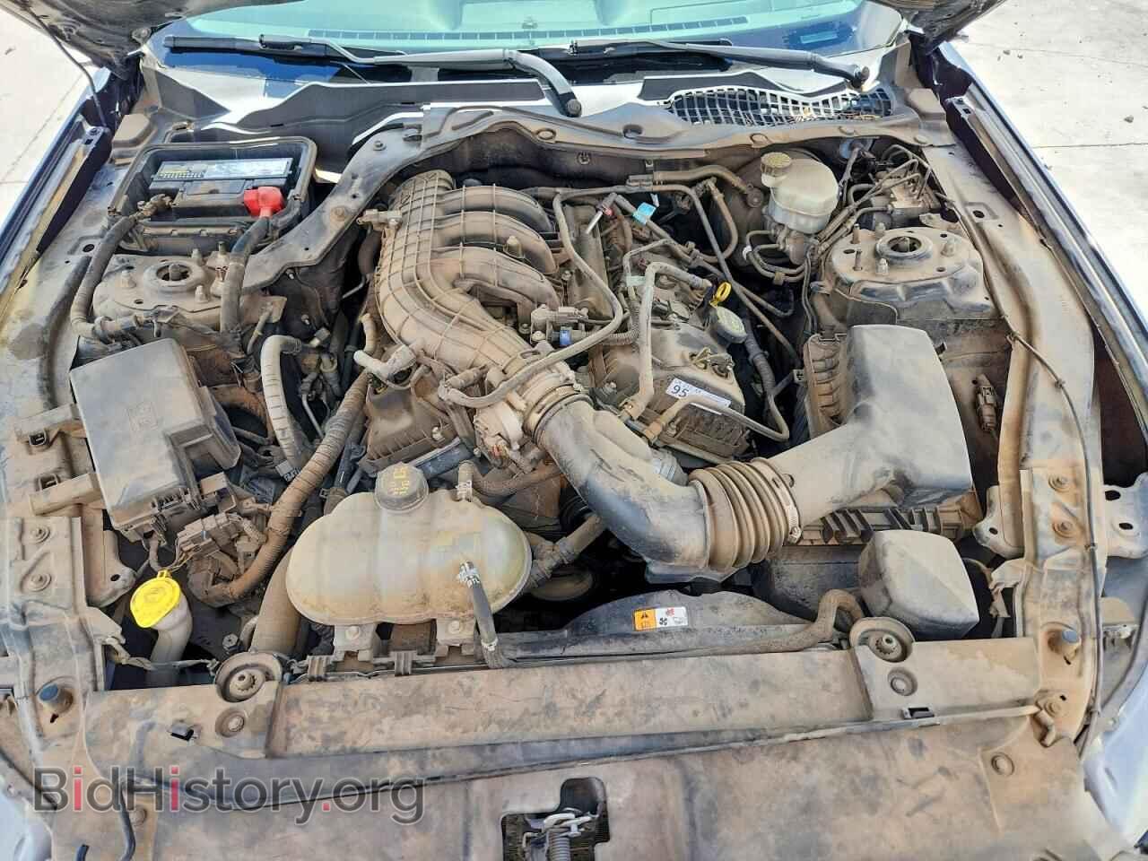 2017 FORD MUSTANG - VIN: 1FA6P8AM0H5226954 - Photo 11