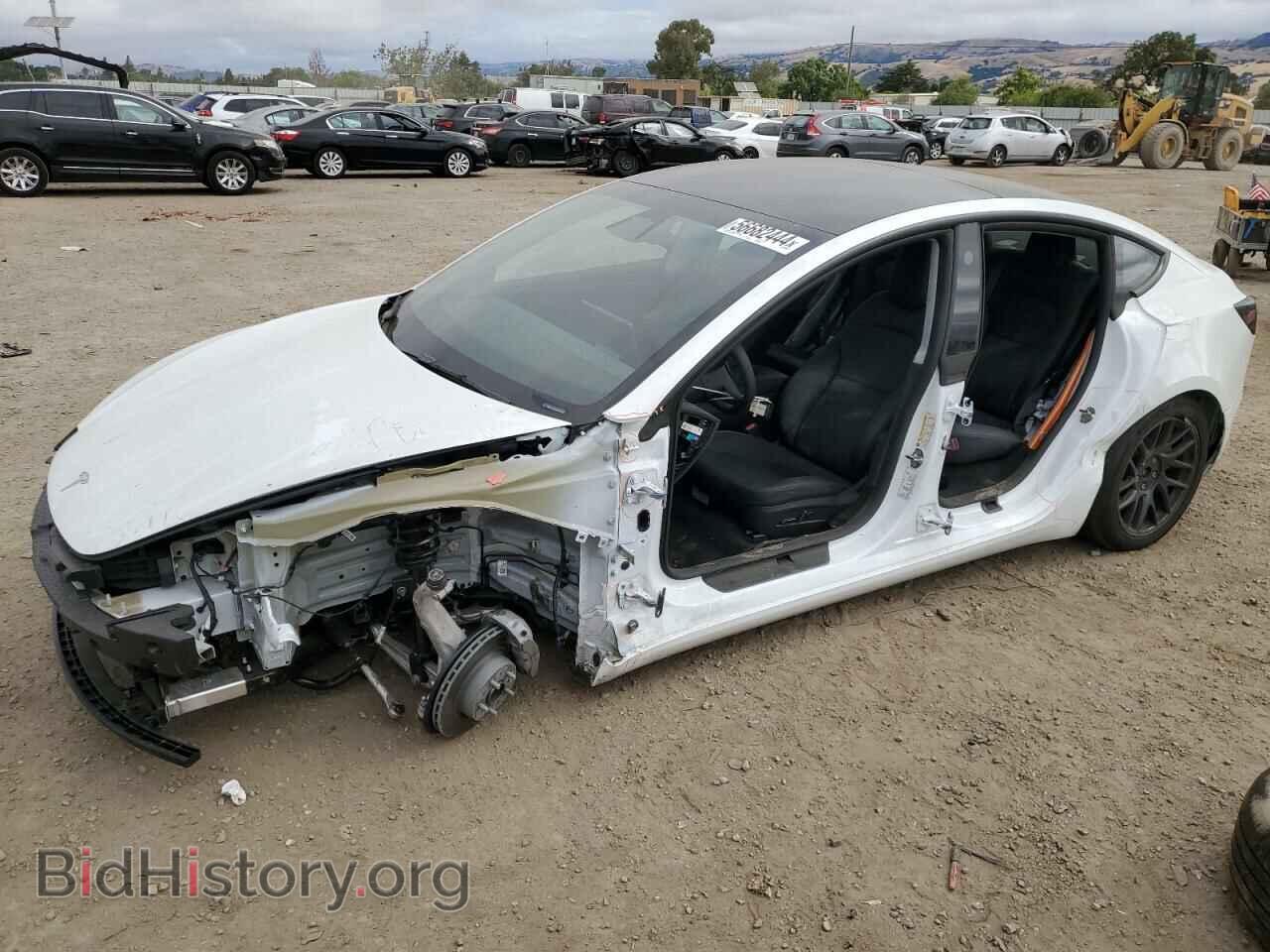 Photo 5YJ3E1EA5RF726375 - TESLA MODEL 3 2024