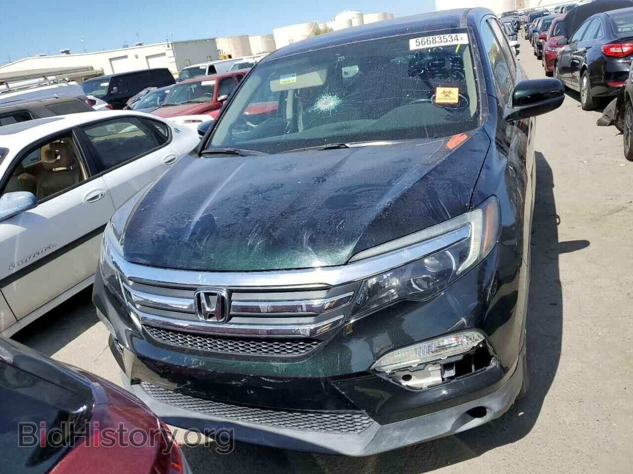 2018 HONDA PILOT - VIN: 5FNYF5H56JB032355 - Фото 5