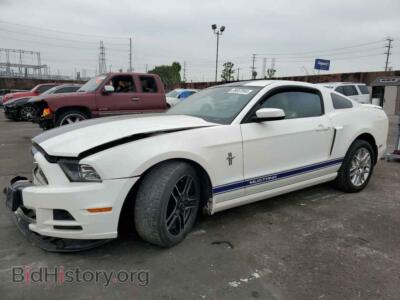 2013 Ford ALL MODELS, white — VIN 1ZVBP8AM5D5271663, Copart
