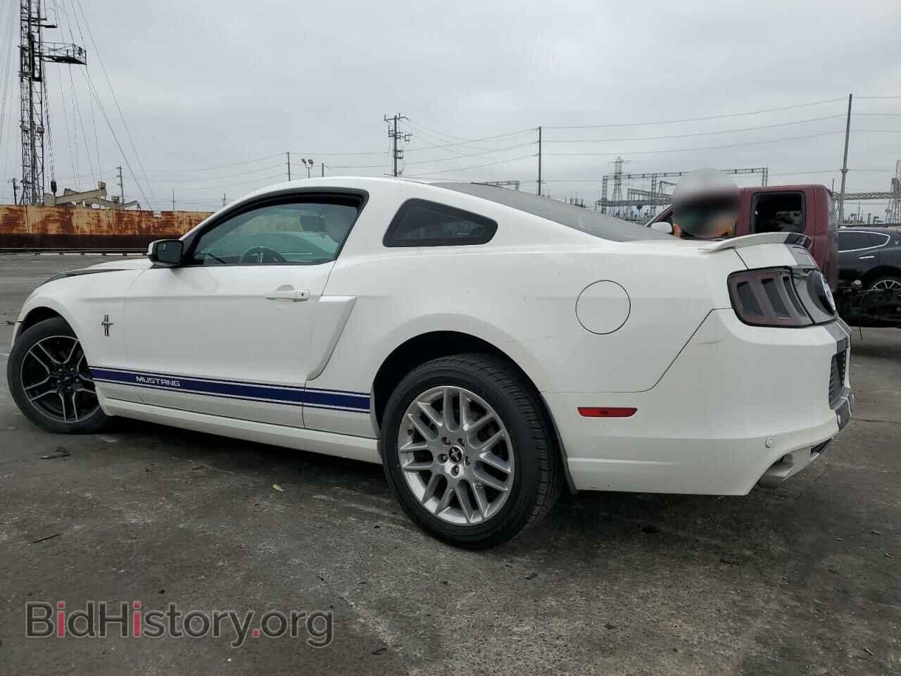 2013 FORD ALL Models - VIN: 1ZVBP8AM5D5271663 - Фото 2